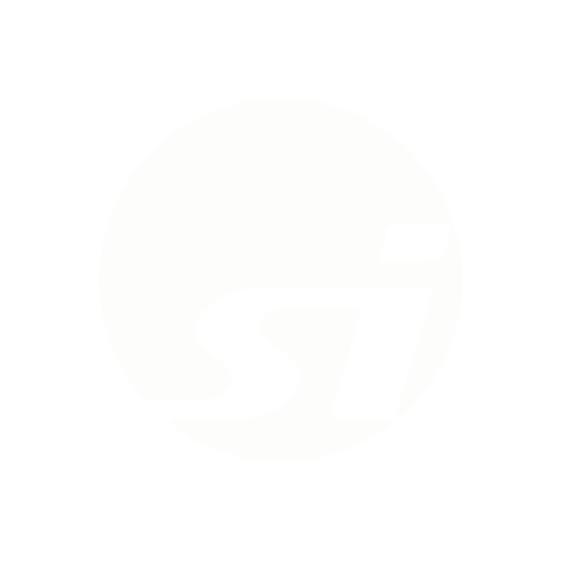 SOYUZIMPORT - logo and brand identity